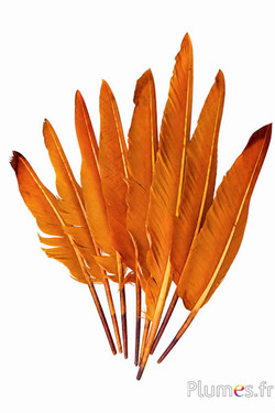 Schwan - 28-33 cm - aztekengold